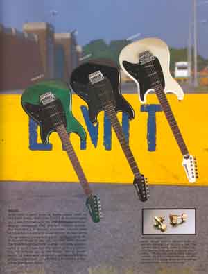 p13_small.jpg (17130 bytes)