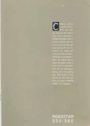 roadstar5_2_small.jpg (7843 bytes)