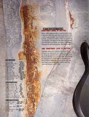 p02_small.jpg (17130 bytes)