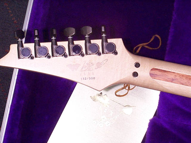 dnaedno.jpg (50059 bytes)