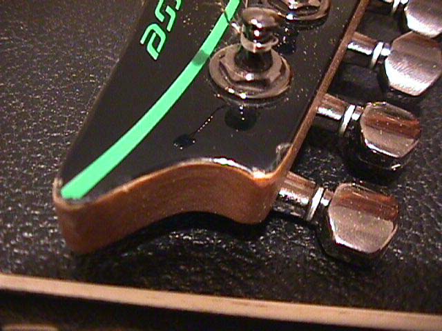 19_head_tip.jpg (58516 bytes)