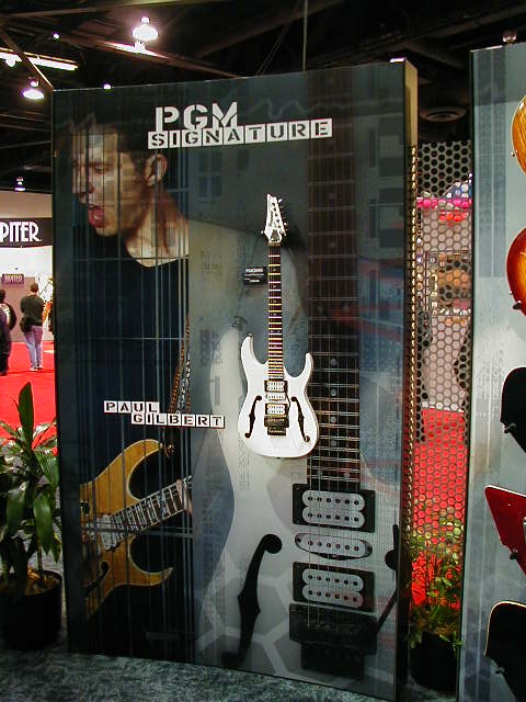 pgm.jpg (133706 bytes)