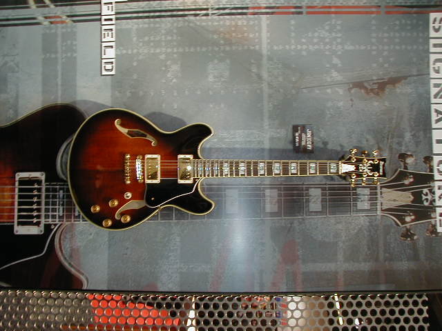 jsm100.jpg (80035 bytes)