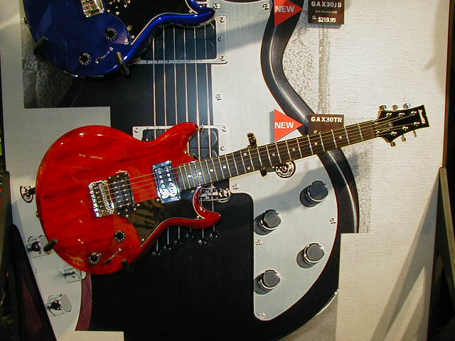 P1010054.JPG (58997 bytes)