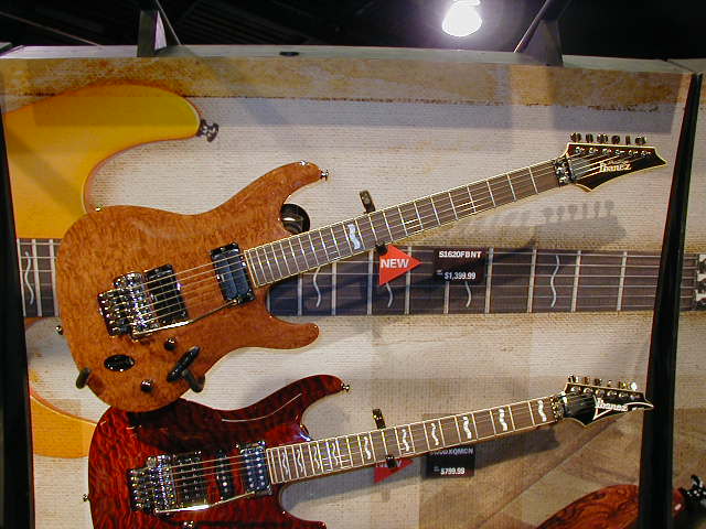 P1010091.JPG (62528 bytes)
