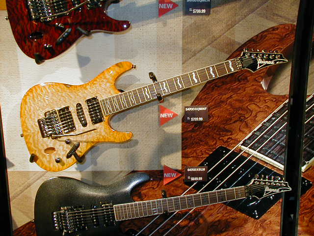 P1010093.JPG (63795 bytes)