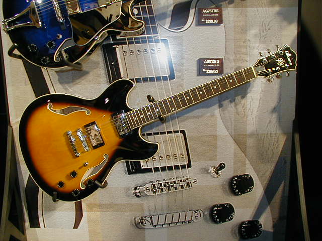 P1010118.JPG (62375 bytes)
