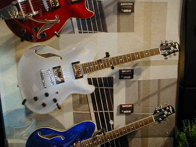 P1010121.JPG (61579 bytes)