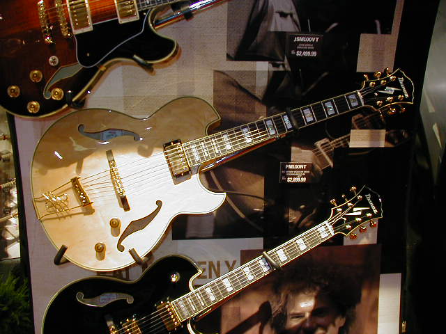 P1010124.JPG (61468 bytes)