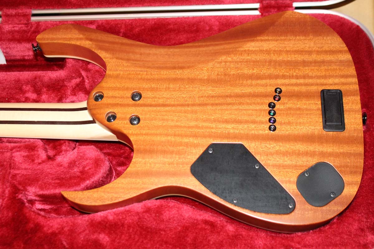 IBANEZ RULES NEW GUITAR IMAGE PAGE