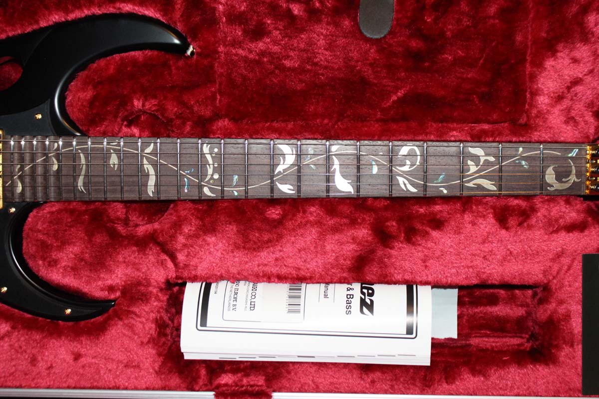 IBANEZ RULES - NEW GUITAR IMAGE PAGE