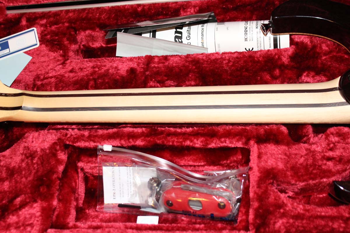 IBANEZ RULES - NEW GUITAR IMAGE PAGE